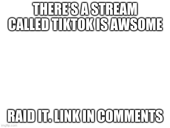 Raid this stream | THERE'S A STREAM CALLED TIKTOK IS AWSOME; RAID IT. LINK IN COMMENTS | image tagged in blank white template | made w/ Imgflip meme maker