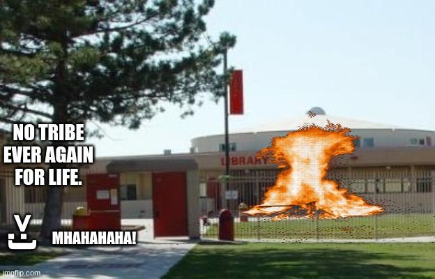 BURN!!!! | NO TRIBE EVER AGAIN FOR LIFE. >:); MHAHAHAHA! | image tagged in xd | made w/ Imgflip meme maker