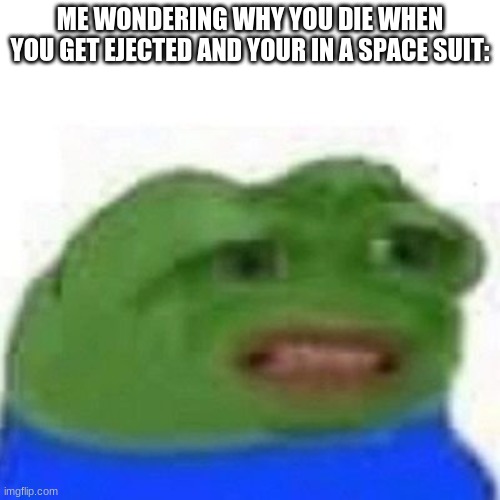 Why just Why | ME WONDERING WHY YOU DIE WHEN YOU GET EJECTED AND YOUR IN A SPACE SUIT: | image tagged in why tho,why,among us,ajected,how | made w/ Imgflip meme maker