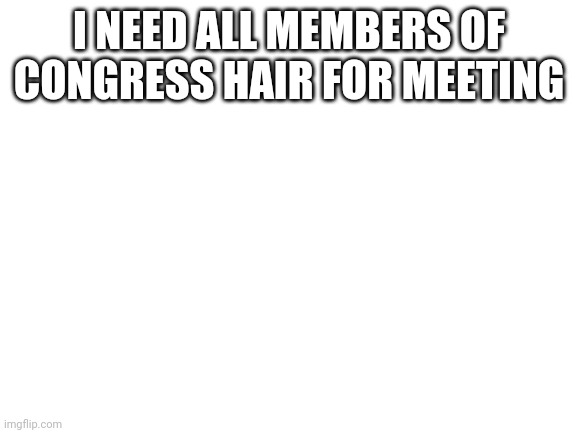 Blank White Template | I NEED ALL MEMBERS OF CONGRESS HAIR FOR MEETING | image tagged in blank white template | made w/ Imgflip meme maker