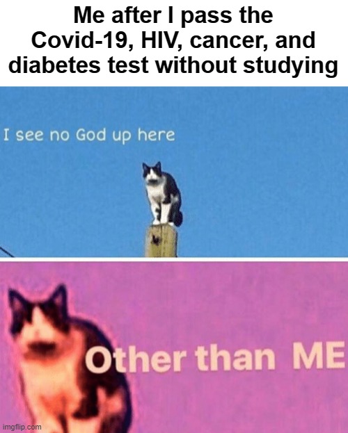 Hail pole cat | Me after I pass the Covid-19, HIV, cancer, and diabetes test without studying | image tagged in hail pole cat | made w/ Imgflip meme maker