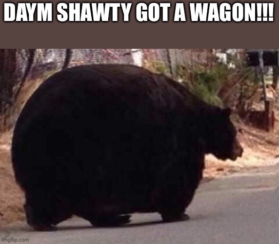 DAYM SHAWTY GOT A WAGON!!! | made w/ Imgflip meme maker