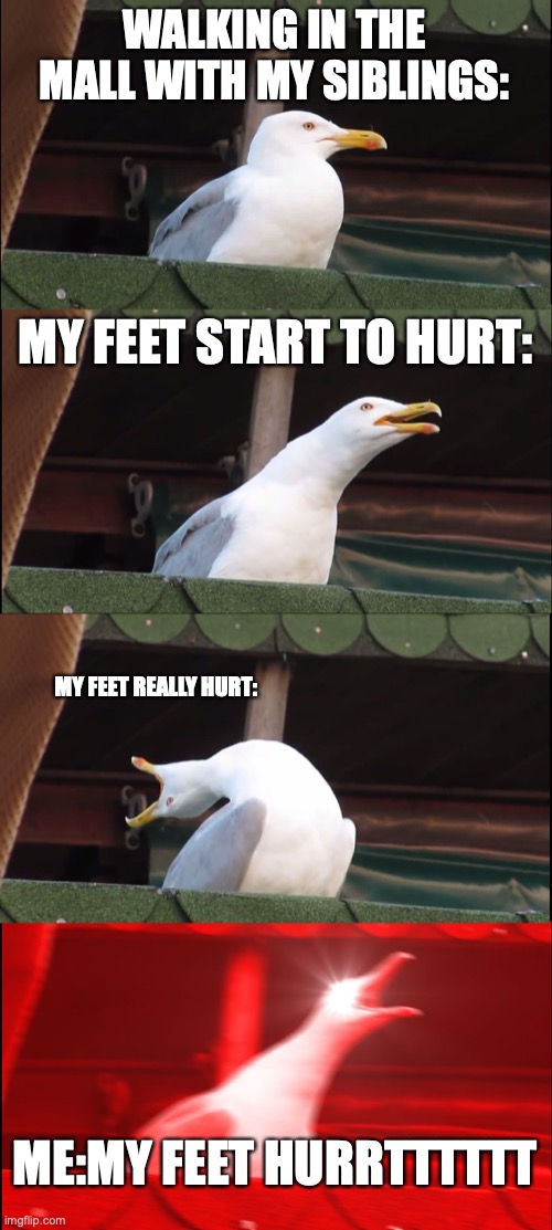 e | WALKING IN THE MALL WITH MY SIBLINGS:; MY FEET START TO HURT:; MY FEET REALLY HURT:; ME:MY FEET HURRTTTTTT | image tagged in memes,inhaling seagull | made w/ Imgflip meme maker