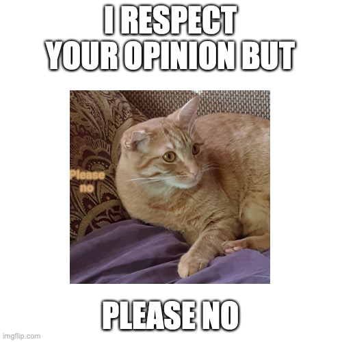 I RESPECT YOUR OPINION BUT PLEASE NO | made w/ Imgflip meme maker