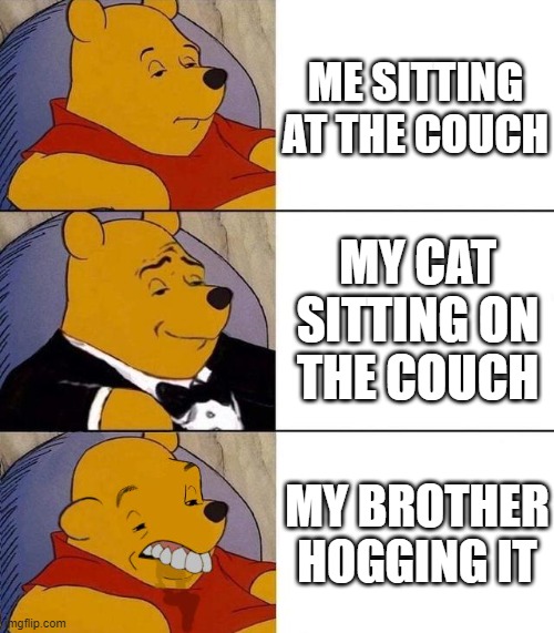Best,Better, Blurst | ME SITTING AT THE COUCH; MY CAT SITTING ON THE COUCH; MY BROTHER HOGGING IT | image tagged in best better blurst | made w/ Imgflip meme maker
