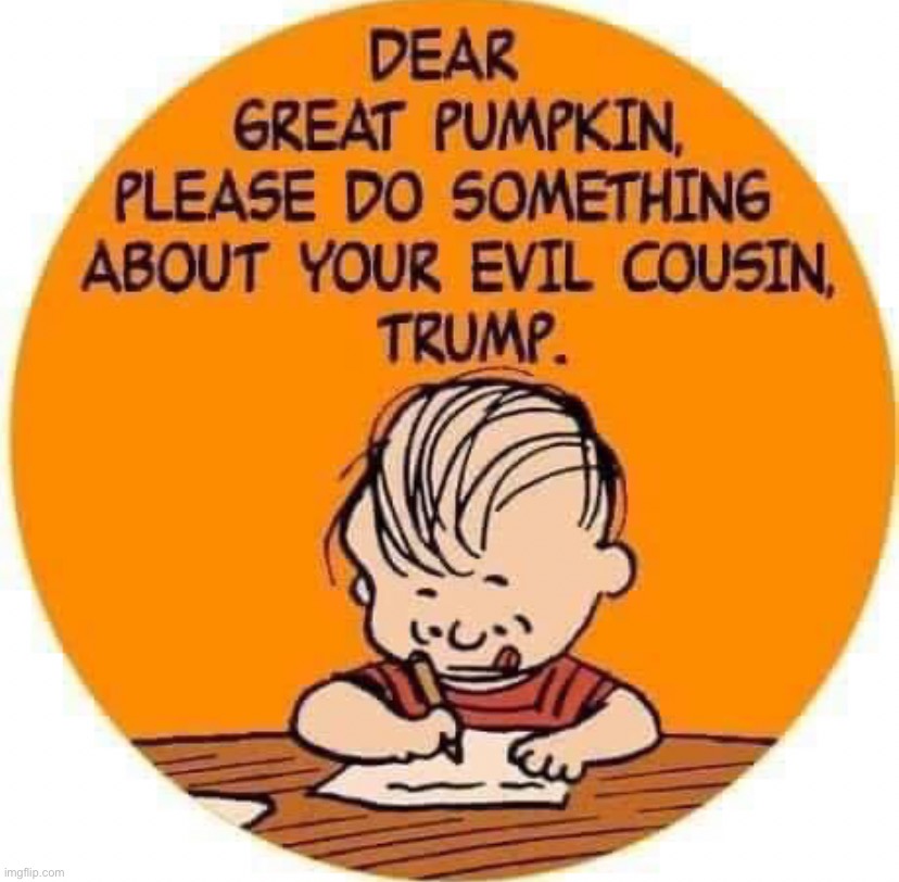 thats not appropriate, little kids shouldnt be getting involved in politics, maga | image tagged in linus trump great pumpkin,maga,linus,trump,pumpkin,great pumpkin | made w/ Imgflip meme maker