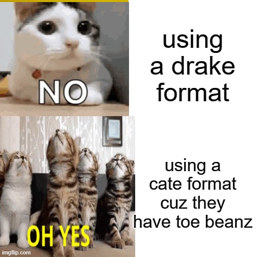 cat | using a drake format; using a cate format cuz they have toe beanz | image tagged in cat | made w/ Imgflip meme maker