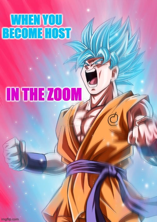 Super Saiyan! Ultimate power! | WHEN YOU BECOME HOST; IN THE ZOOM | image tagged in super sayan,power,online school,zoom,geek | made w/ Imgflip meme maker