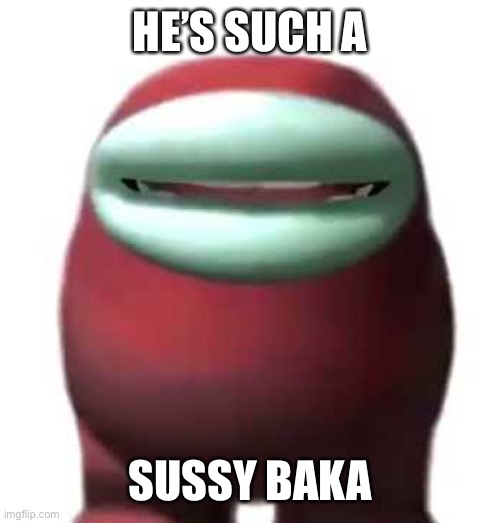 Amogus | HE’S SUCH A; SUSSY BAKA | image tagged in amogus sussy | made w/ Imgflip meme maker