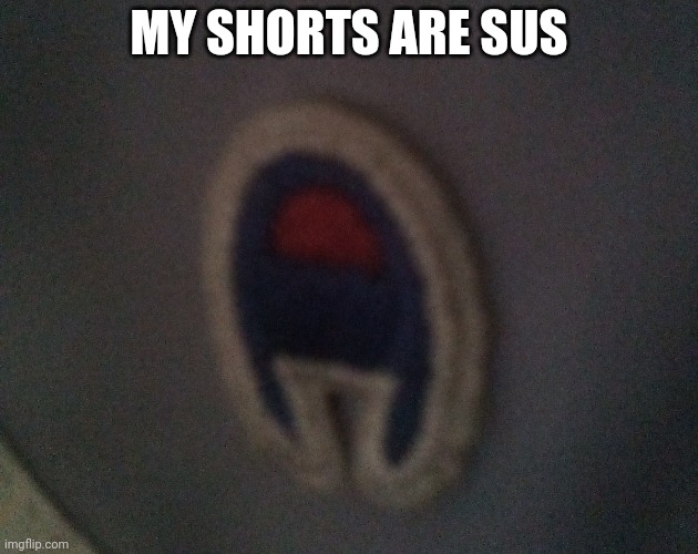 My sister found this she is very smart | MY SHORTS ARE SUS | image tagged in sus | made w/ Imgflip meme maker