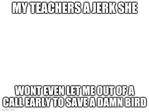 Blank White Template | MY TEACHERS A JERK SHE; WONT EVEN LET ME OUT OF A CALL EARLY TO SAVE A DAMN BIRD | image tagged in blank white template | made w/ Imgflip meme maker