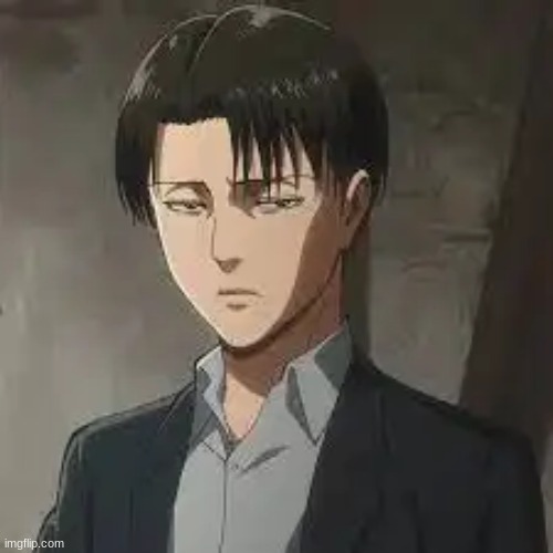Levi Ackerman made me realize that I was aromantic | image tagged in aot | made w/ Imgflip meme maker