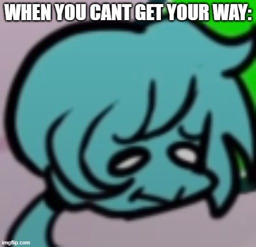 When You: | WHEN YOU CANT GET YOUR WAY: | image tagged in cant get your own way | made w/ Imgflip meme maker