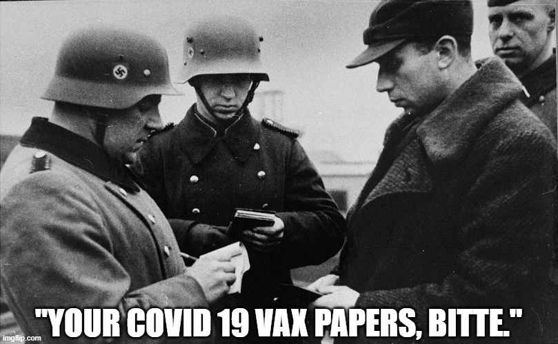 Political meme | "YOUR COVID 19 VAX PAPERS, BITTE." | image tagged in political meme | made w/ Imgflip meme maker