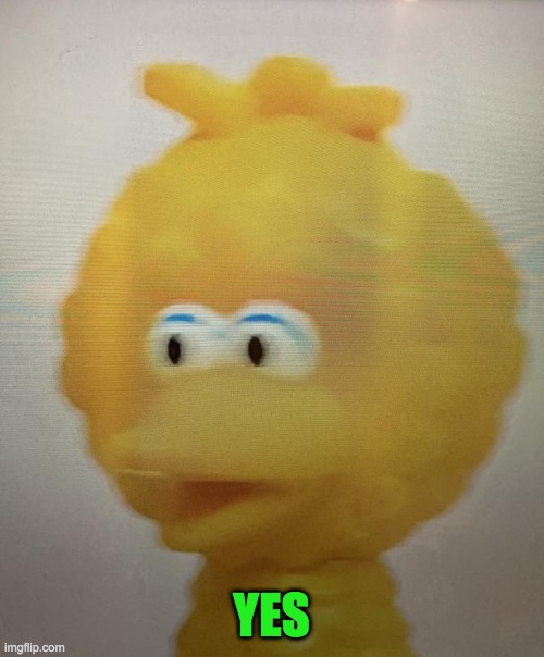 Big birb | YES | image tagged in big birb | made w/ Imgflip meme maker