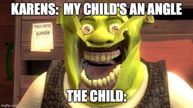Ultra Ugly Shrek | KARENS:  MY CHILD'S AN ANGLE; THE CHILD: | image tagged in shrek,karen | made w/ Imgflip meme maker