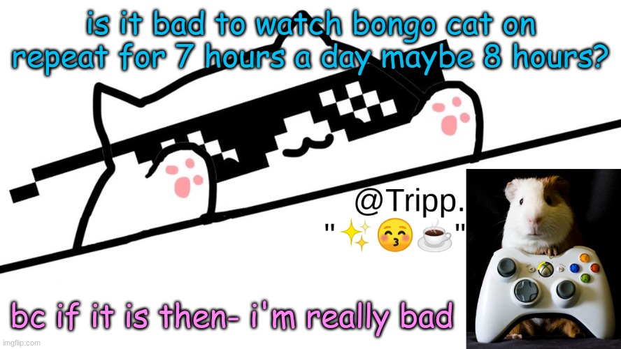 it is the TRUTH | is it bad to watch bongo cat on repeat for 7 hours a day maybe 8 hours? bc if it is then- i'm really bad | image tagged in tripp 's very awesome temp d | made w/ Imgflip meme maker