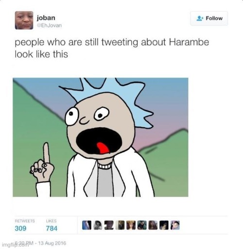 How Dare He Disrespect Harambe Off With His Head! | made w/ Imgflip meme maker