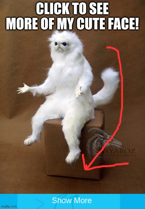 Show more | CLICK TO SEE MORE OF MY CUTE FACE! | image tagged in memes,persian cat room guardian single,show more | made w/ Imgflip meme maker