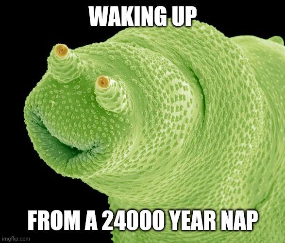WAKING UP; FROM A 24000 YEAR NAP | image tagged in sleep | made w/ Imgflip meme maker