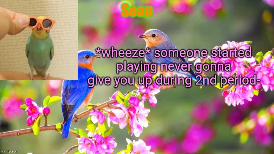 Soap bird tempo | *wheeze* someone started playing never gonna give you up during 2nd period- | image tagged in soap bird tempo ty yachi | made w/ Imgflip meme maker