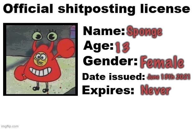 Sponge shitpost temp | image tagged in sponge shitpost temp | made w/ Imgflip meme maker