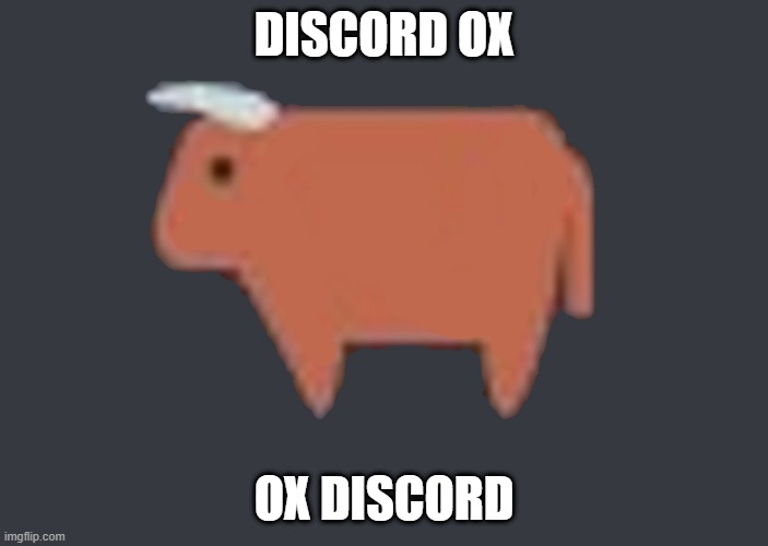 Ox | DISCORD OX; OX DISCORD | image tagged in ox | made w/ Imgflip meme maker