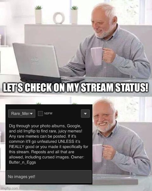 It’s called Rare_Memes, if you’re willing. | LET’S CHECK ON MY STREAM STATUS! | image tagged in memes,hide the pain harold | made w/ Imgflip meme maker