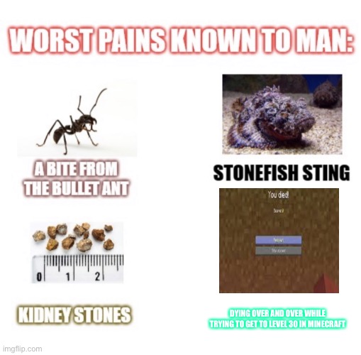 most painful things known to man | DYING OVER AND OVER WHILE TRYING TO GET TO LEVEL 30 IN MINECRAFT | image tagged in most painful things known to man | made w/ Imgflip meme maker