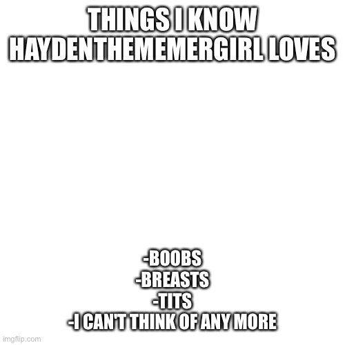 Blank Transparent Square | THINGS I KNOW HAYDENTHEMEMERGIRL LOVES; -BOOBS
-BREASTS
-TITS
-I CAN'T THINK OF ANY MORE | image tagged in memes,blank transparent square | made w/ Imgflip meme maker