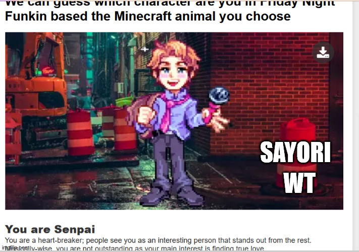 WT; SAYORI | made w/ Imgflip meme maker