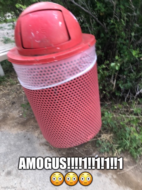 AMOGUS | AMOGUS!!!!1!!1!1!!1 😳😳😳 | image tagged in among us,amogus,trash can,sus | made w/ Imgflip meme maker
