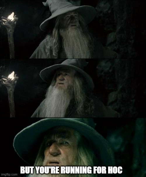 Confused Gandalf Meme | BUT YOU'RE RUNNING FOR HOC | image tagged in memes,confused gandalf | made w/ Imgflip meme maker