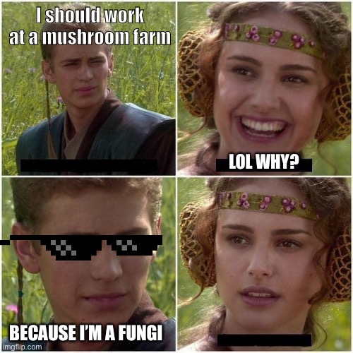 Dad jokes | I should work at a mushroom farm; LOL WHY? BECAUSE I’M A FUNGI | image tagged in anakin and padme | made w/ Imgflip meme maker