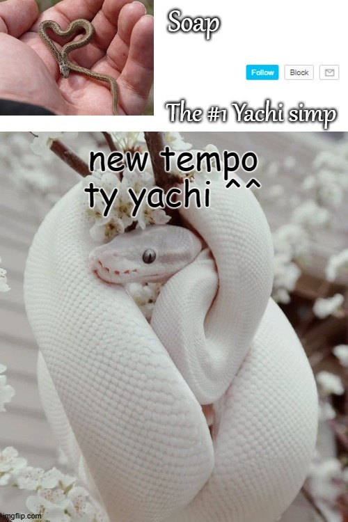 yes i asked for another animal one xD | new tempo
ty yachi ^^ | image tagged in soap snake temp ty yachi | made w/ Imgflip meme maker