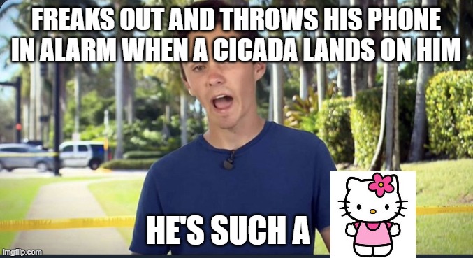 David Hogg | FREAKS OUT AND THROWS HIS PHONE IN ALARM WHEN A CICADA LANDS ON HIM; HE'S SUCH A | image tagged in david hogg | made w/ Imgflip meme maker