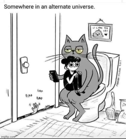 Somewhere in an alternate universe - cat | image tagged in alternate reality,cat,cats,funny cats | made w/ Imgflip meme maker