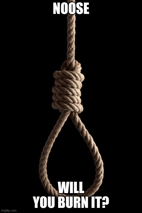 NOOSE; WILL YOU BURN IT? | made w/ Imgflip meme maker