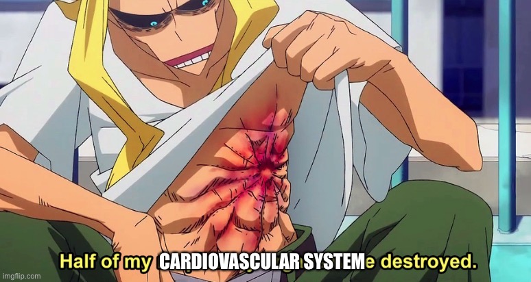 biopsy and angiogram | CARDIOVASCULAR SYSTEM | image tagged in half of my respiratory organs were destroyed,heart,transplant | made w/ Imgflip meme maker