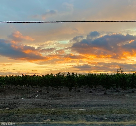 Sunrise over an orchard | image tagged in sunrise,photos | made w/ Imgflip meme maker