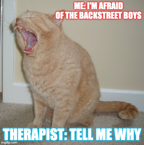 Tell me why | ME: I'M AFRAID OF THE BACKSTREET BOYS; THERAPIST: TELL ME WHY | image tagged in fun,memes | made w/ Imgflip meme maker