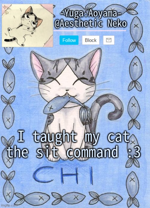 Chi's Sweet Home temp | I taught my cat the sit command :3 | image tagged in chi's sweet home temp | made w/ Imgflip meme maker