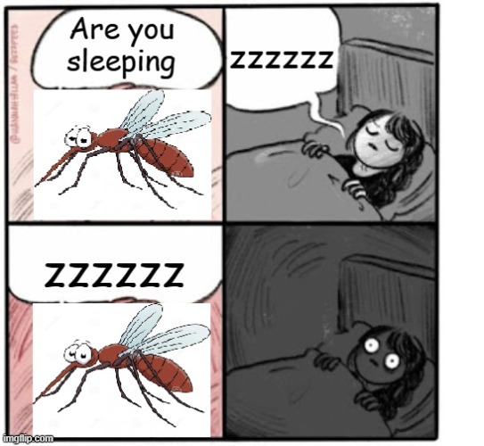 Mosquito while sleeping | image tagged in brain before sleep,mosquito,mosquitoes,mosquito attack | made w/ Imgflip meme maker