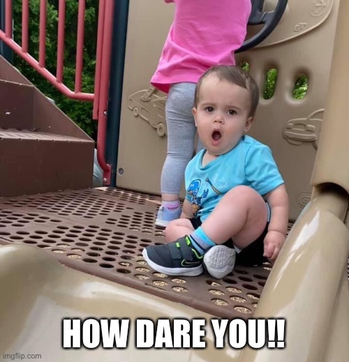 Fun | HOW DARE YOU!! | image tagged in funny memes | made w/ Imgflip meme maker