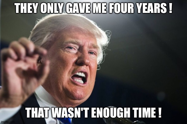 donald trump | THEY ONLY GAVE ME FOUR YEARS ! THAT WASN'T ENOUGH TIME ! | image tagged in donald trump | made w/ Imgflip meme maker