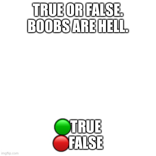 Blank Transparent Square Meme | TRUE OR FALSE. BOOBS ARE HELL. 🟢TRUE
🔴FALSE | image tagged in memes,blank transparent square | made w/ Imgflip meme maker