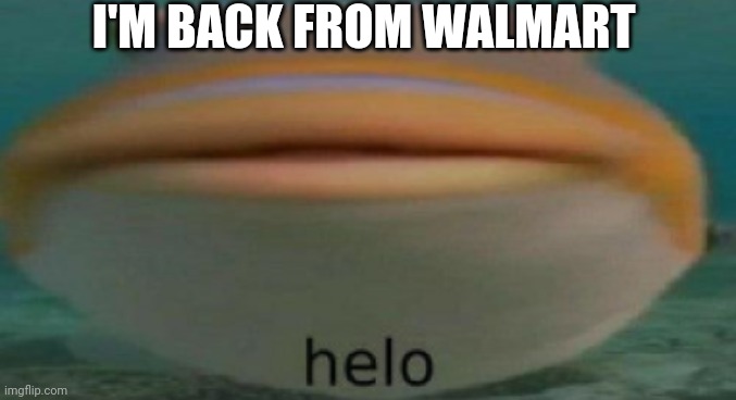 :D | I'M BACK FROM WALMART | image tagged in helo | made w/ Imgflip meme maker