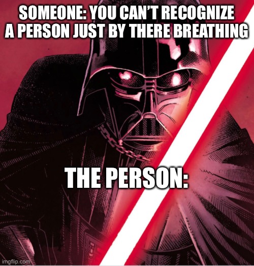 Darth Vader | SOMEONE: YOU CAN’T RECOGNIZE A PERSON JUST BY THERE BREATHING; THE PERSON: | image tagged in star wars,darth vader | made w/ Imgflip meme maker