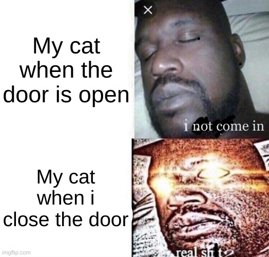 Cats be like | My cat when the door is open; not come in; My cat when i close the door | image tagged in i sleep real shit | made w/ Imgflip meme maker