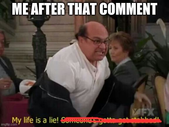 My Life Is A Lie! | ME AFTER THAT COMMENT | image tagged in my life is a lie | made w/ Imgflip meme maker